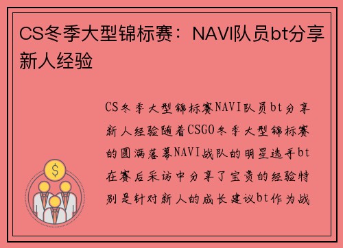 CS冬季大型锦标赛：NAVI队员bt分享新人经验